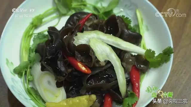 木耳食用的注意事项，黑木耳泡发不当或有生命危险