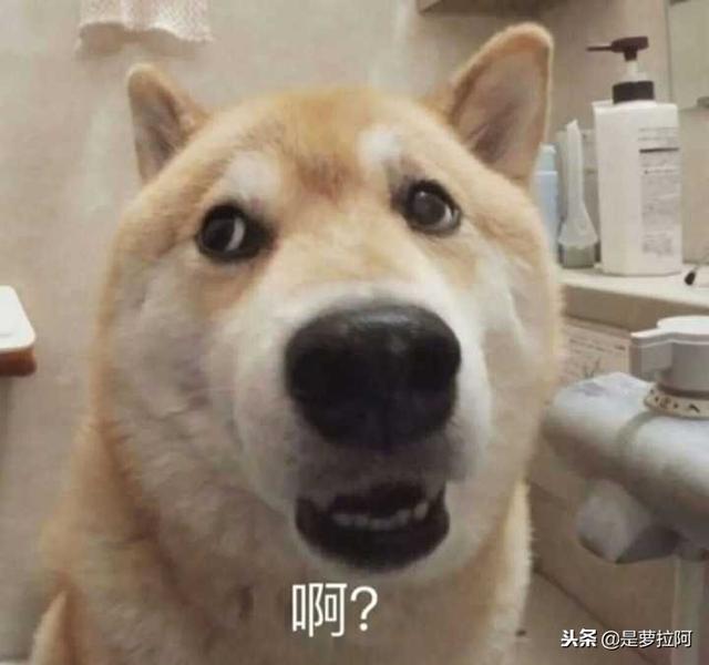 推荐几本超甜超宠的文，五本双向暗恋的甜宠文