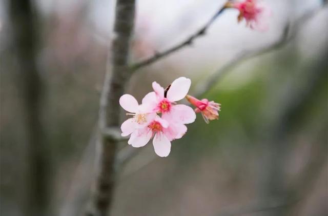 深圳游玩攻略必去的地方免费，7个遛娃好去处全免费