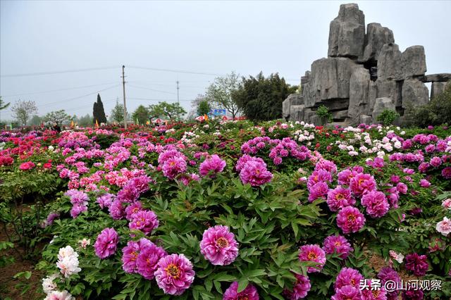 菏泽市各区县人口和面积排行榜，菏泽市各区县GDP
