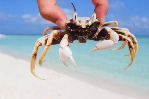 西沙游玩攻略，西沙，此生必去的绝美之地