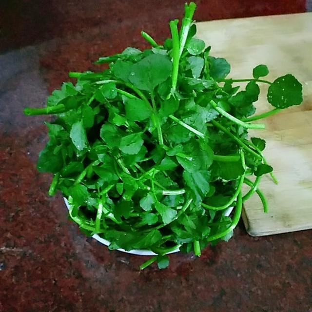 西洋菜应该怎么炒，这样的清炒西洋菜你吃过吗