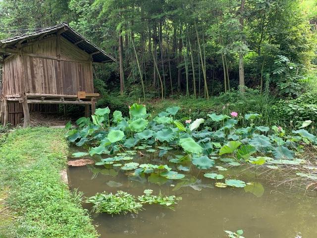黔东南小七孔旅游攻略，不只是一座古桥<二游荔波>