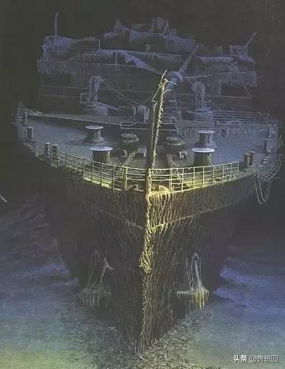 橡木相关知识，记得收藏这篇文章备用