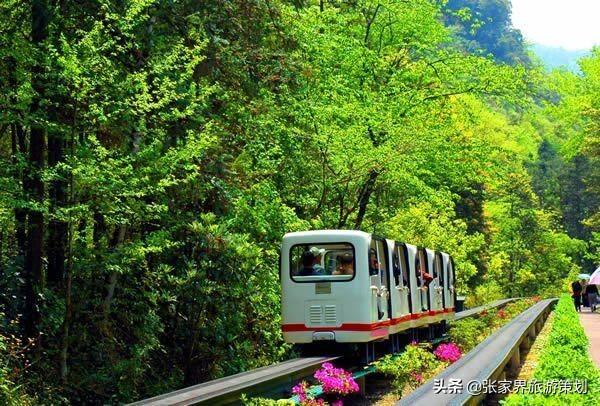 张家界旅游几月份去好，去张家界几月份旅游最好时间（张家界旅游什么时候去最好）