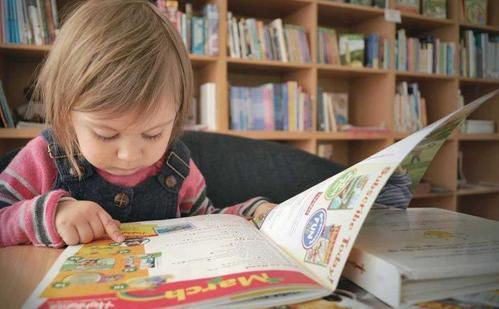 双生子爬梯试验，格赛尔双生子爬塔实验（简述格塞尔双生子爬梯实验）