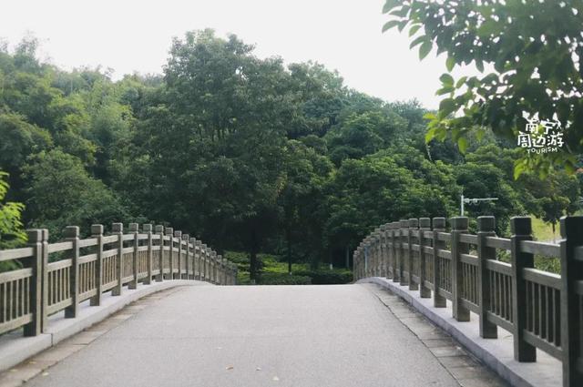 南宁附近花海景点推荐，南宁这几处花海，美了