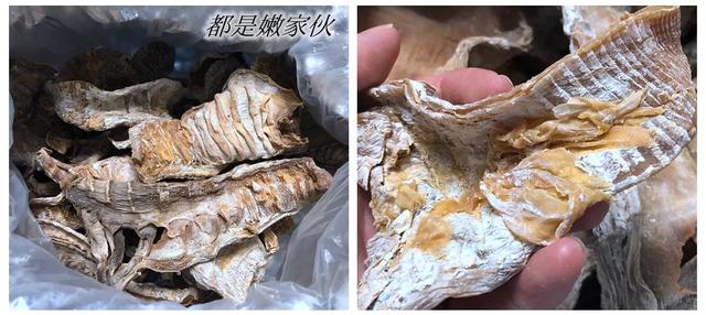 来自福建宁德的美味，客家笋汤（每个不经意都会被她的美味所折服）