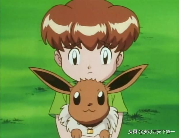 神奇宝贝里面的十大幻兽，在动画中出现的十三只伊布