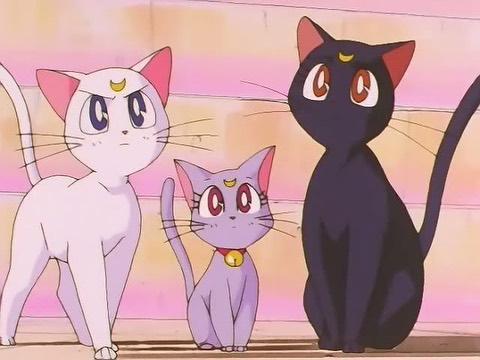 美少女战士露娜，美少女战士黑猫露娜