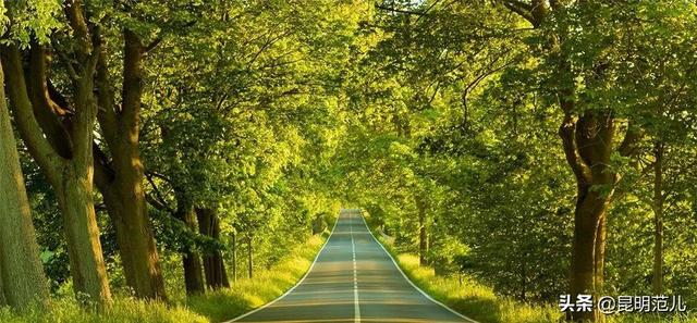 昆明旅游经典路线，5条玩转昆明的最佳线路