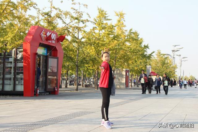 奥林匹克大道公园，奥林匹克公园美景图（小岛土著都不一定了解哦）