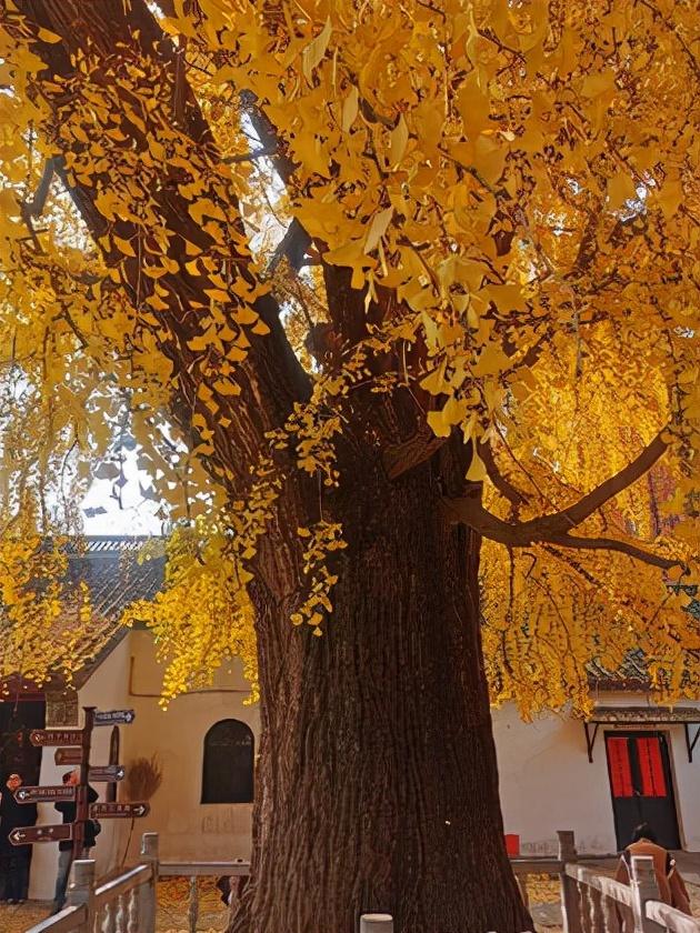 淮南是哪个省的，安徽淮南市属于哪个市（为何淮南房价如此之低）