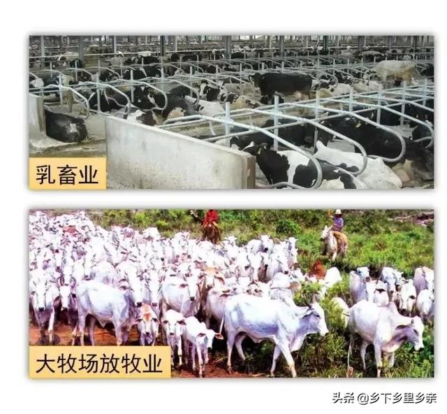 典型的农业地域类型及其特点，高中地理：几组农业概念的区分