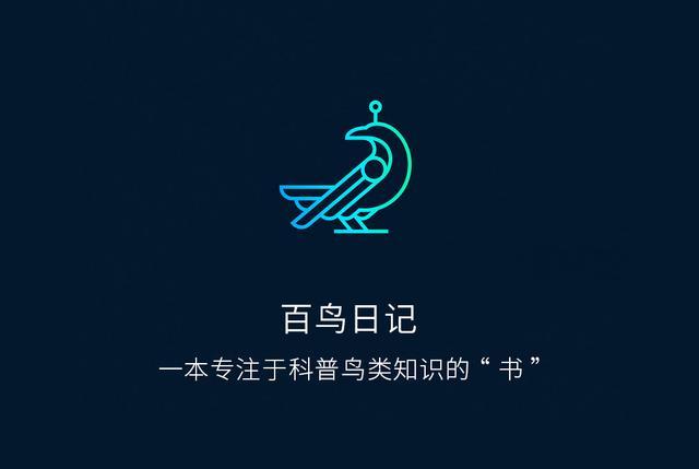 鹦鹉鸟类的品种，第十五课鸟类鉴定