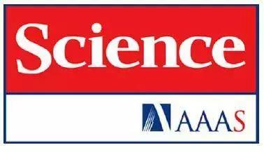 为什么pcr技术可以检测目的基因，一文带你读懂基因检测核心技术——PCR