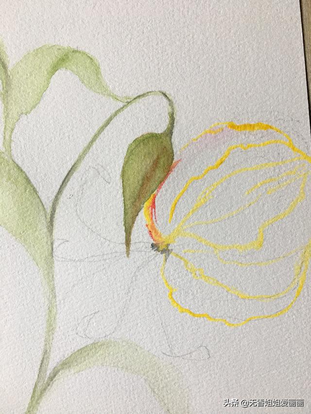 最简单的兰花画法，简单几步学习画兰草