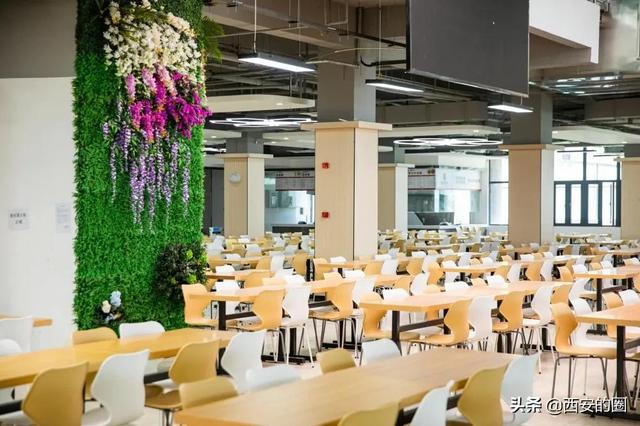 陕西青年职业学院，陕西青年职业学院官网介绍（我院举办2023年大型校园招聘会）