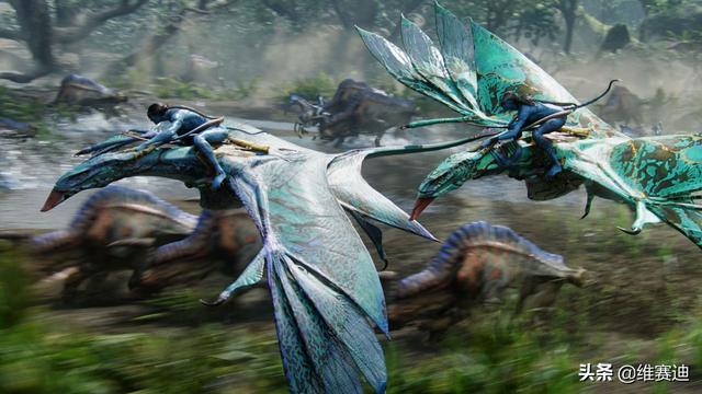 20年全年票房排名，新世纪以来每一年的国内票房年冠