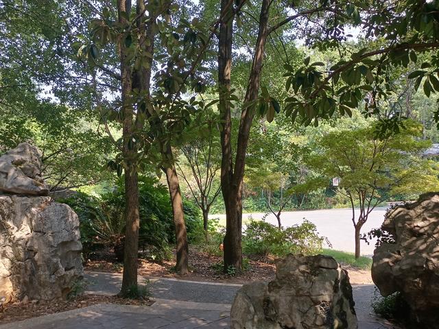 长沙市内十大公园，长沙本地人告诉你这10个地方不能少