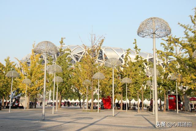 奥林匹克大道公园，奥林匹克公园美景图（小岛土著都不一定了解哦）