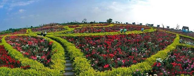 山东几个5a旅游景点在哪里，山东的十个4A级旅游景区