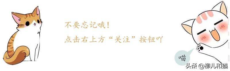 吃猫粮肥胖(猫粮吃了发胖是什么原因)