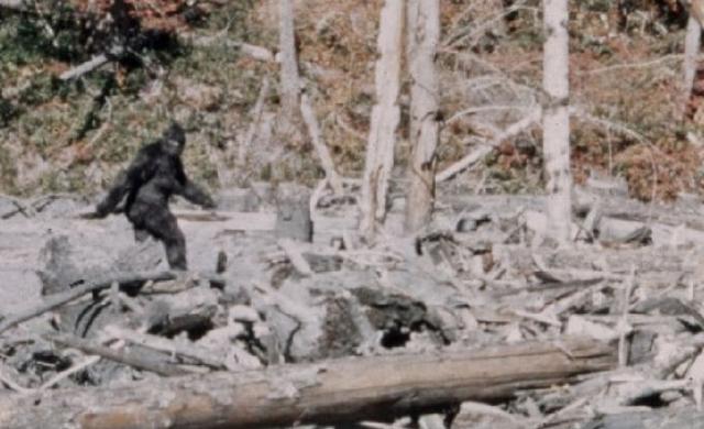 八种史前怪物，比巨齿鲨还要更加可怕的10个史前生物