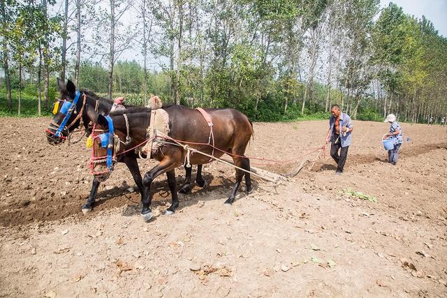 鄂西山区农耕工具，鲁西南农耕工具记忆