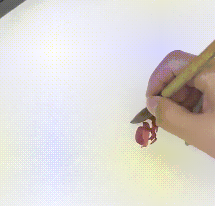 国画简单蓝蜻蜓的画法，画点荷花和蜻蜓给这个夏天降降暑