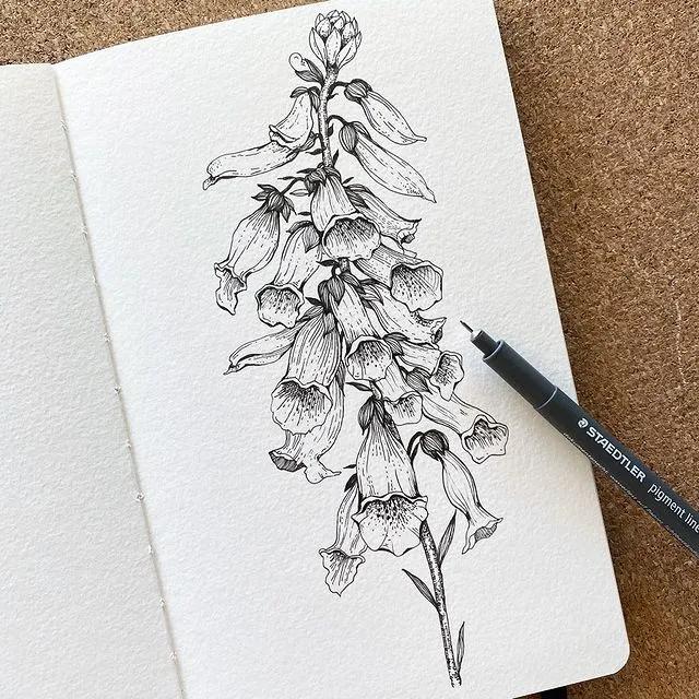 妙笔生花水墨画教程，教科书级别的植物线描