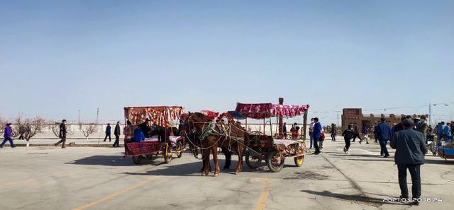 杏花节活动开幕，杏花节我来啦