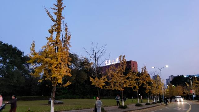 重庆大学虎溪校区，重庆大学虎溪校区全貌