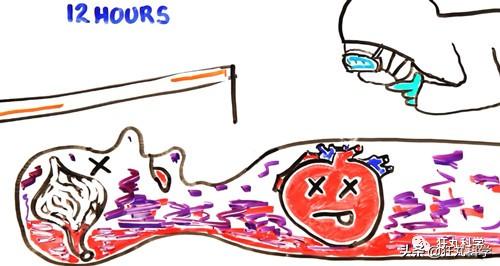 人死后会怎么样，人死后会发生哪些变化（人死后身体会发生什么）