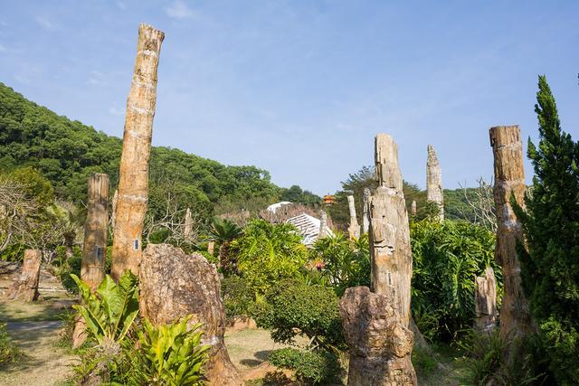 深圳市仙湖植物园，深圳仙湖植物园适合夏天逛吗（深圳仙湖植物园现场实拍图来了）