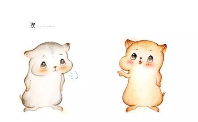 欧洲漫画鉴赏，漫画什么是哥德巴赫猜想