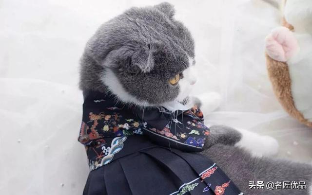 了解一下汉服制作过程，做外贸，一些好用的软件推荐