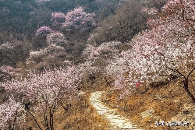 凤凰岭景区简介，海南之旅<5>——凤凰岭