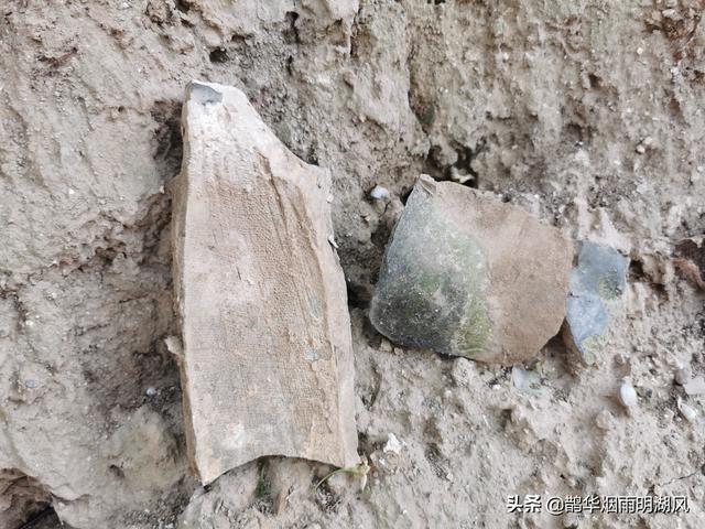 大汶口文化遗址，大汶口文化遗址在我国哪里（山东这十大遗址被国家文物局看上了）