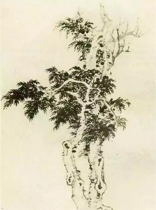 树怎么画简单又好看，如何画树简单又漂亮（水彩唯美风景画，手把手教你画）