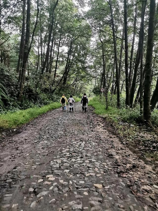 大理苍山游玩攻略，大理苍山旅游攻略自助游（大理苍山游玩攻略）