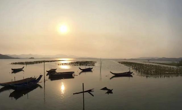 惠州海岛旅游景点哪里好玩，惠州野沙滩大汇总：8个野沙滩