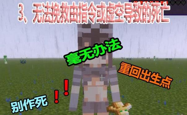 我的世界不死图腾，我的世界不死图腾分类