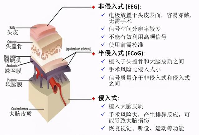 陈天桥捐款10亿是为了儿子吗，扬言\