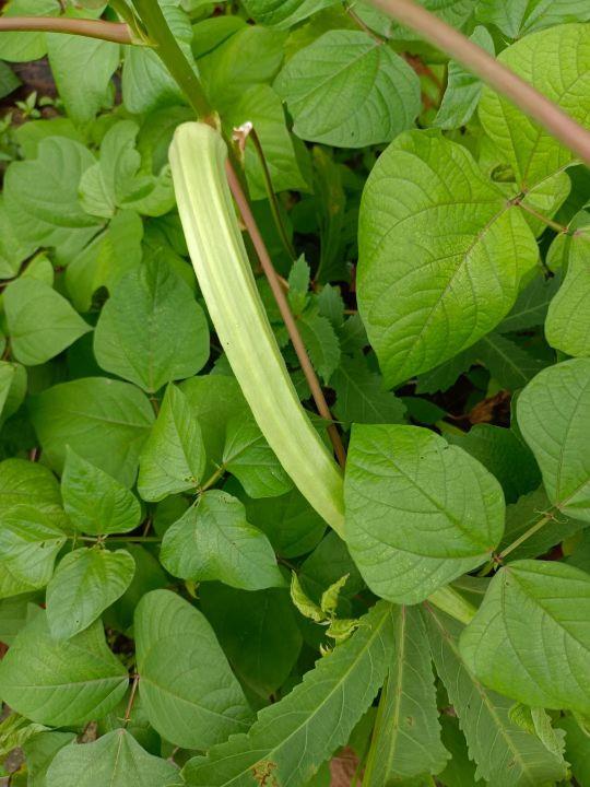 为什么很多人去印尼打工，记录印尼打工生活点滴