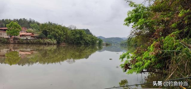 春季是钓鲫黄金季春季一定钓滩，春天野钓鲫鱼如何选钓位