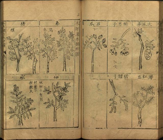本草纲目全书带图，李时珍本草纲目全书（李时珍著《本草纲目》附图卷）
