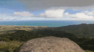 单反相机镜头知识，单反相机镜头知识详解（2023年十大高性价比单反镜头推荐）