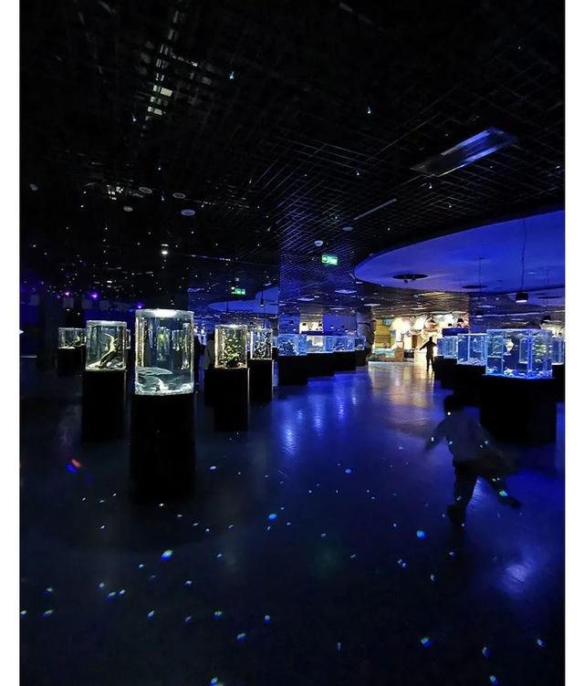 天津海昌极地海洋公园旅游攻略，带着孩子去看鱼