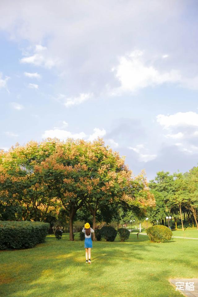 莲花山公园 网红打卡地，莲花山公园又红了